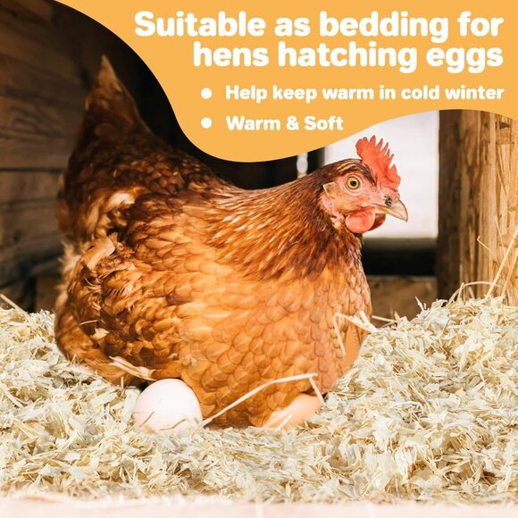 15 OZ Aspen Hamster Bedding - Aspen Shavings Bedding Hen Nest Material - Picture 4 of 8